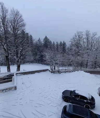 Vicino Alle Piste Da Sci! *